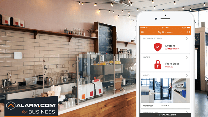 Tailored Business Security Solutions