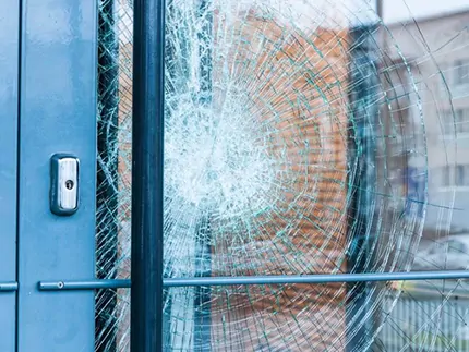 Protection Plus photo 3